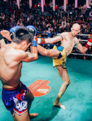 CFN I — El arte de la lucha